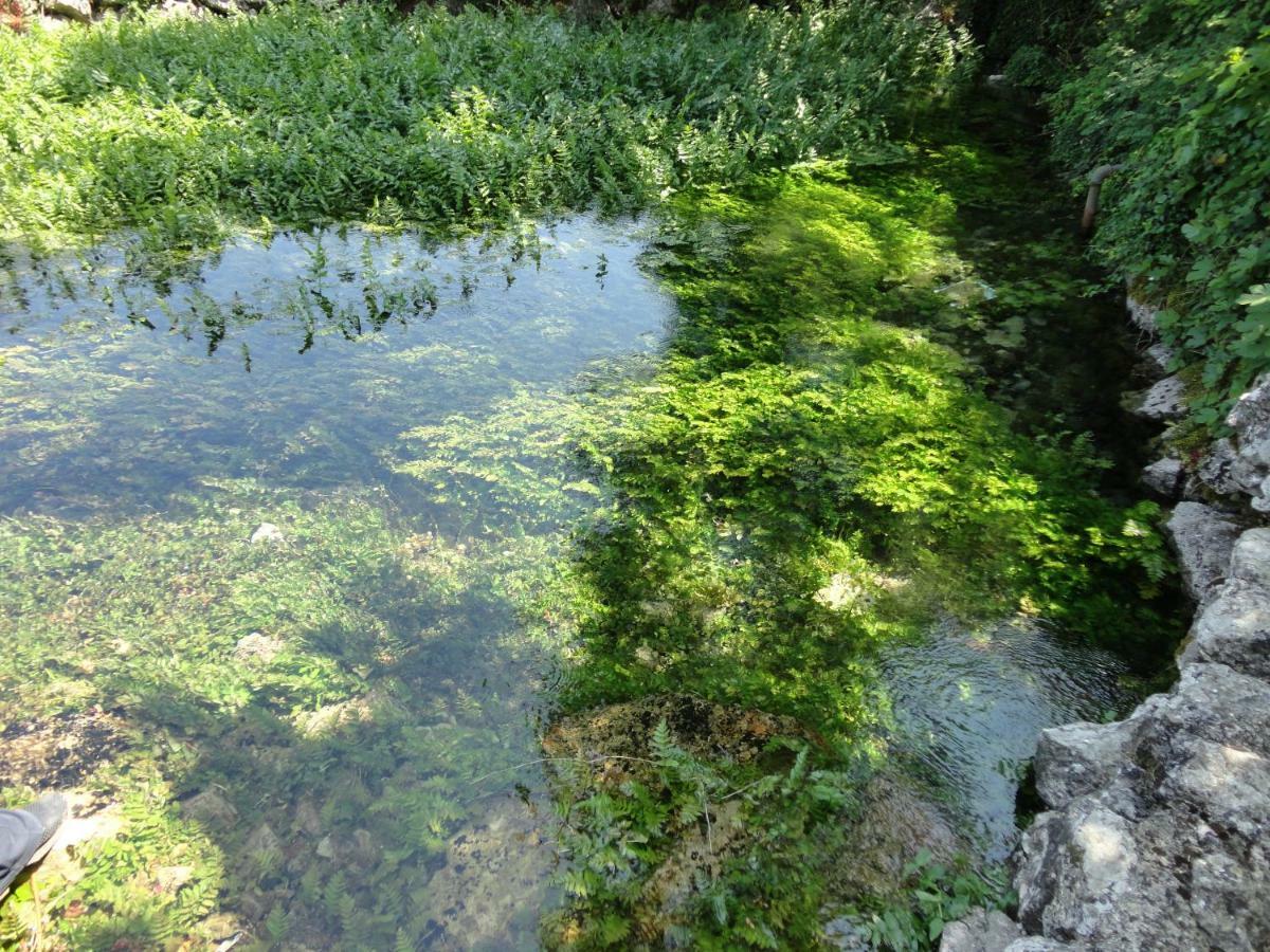 Water Spring Villa Hrvace Kültér fotó